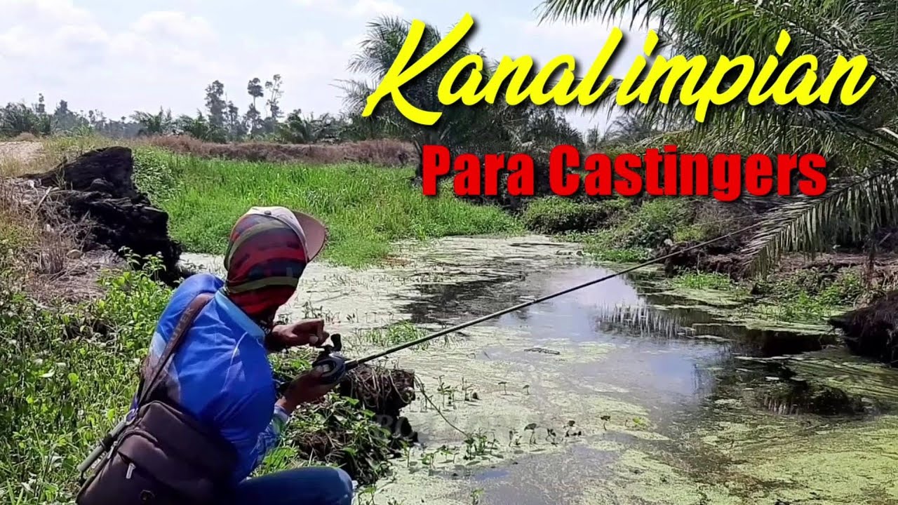 GAK DI SANGKA..!! KANAL INI BNYAK DI HUNI PREDATOR GANAS
