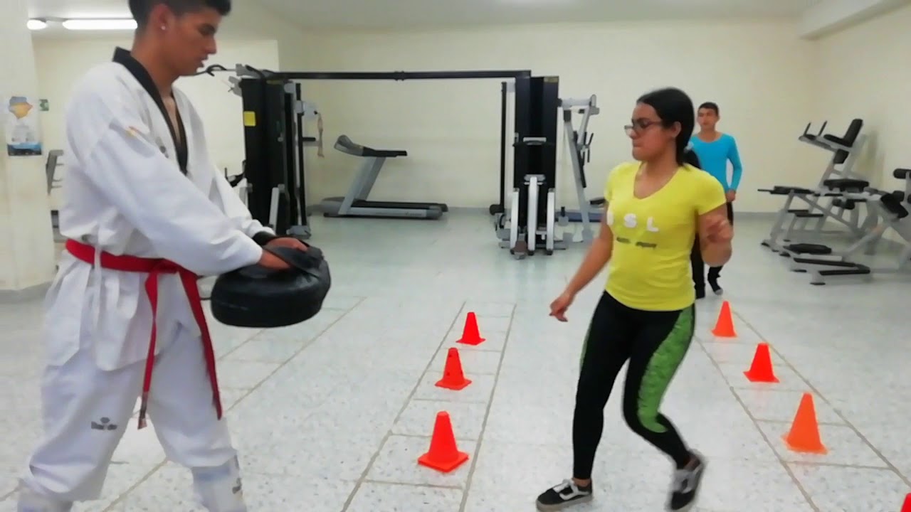 Taekwondo : fundamentos básicos para principiantes
