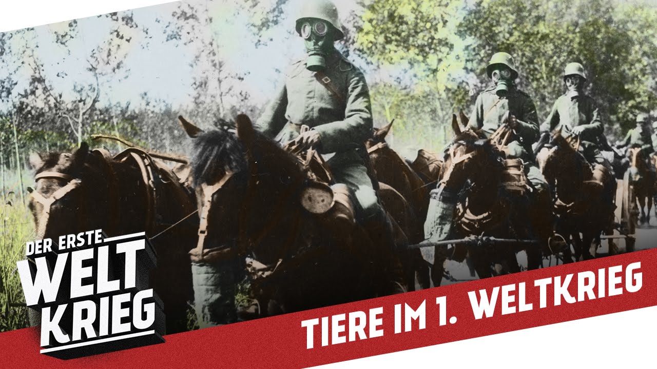 Gefährten im Graben - Tiere im 1. Weltkrieg
