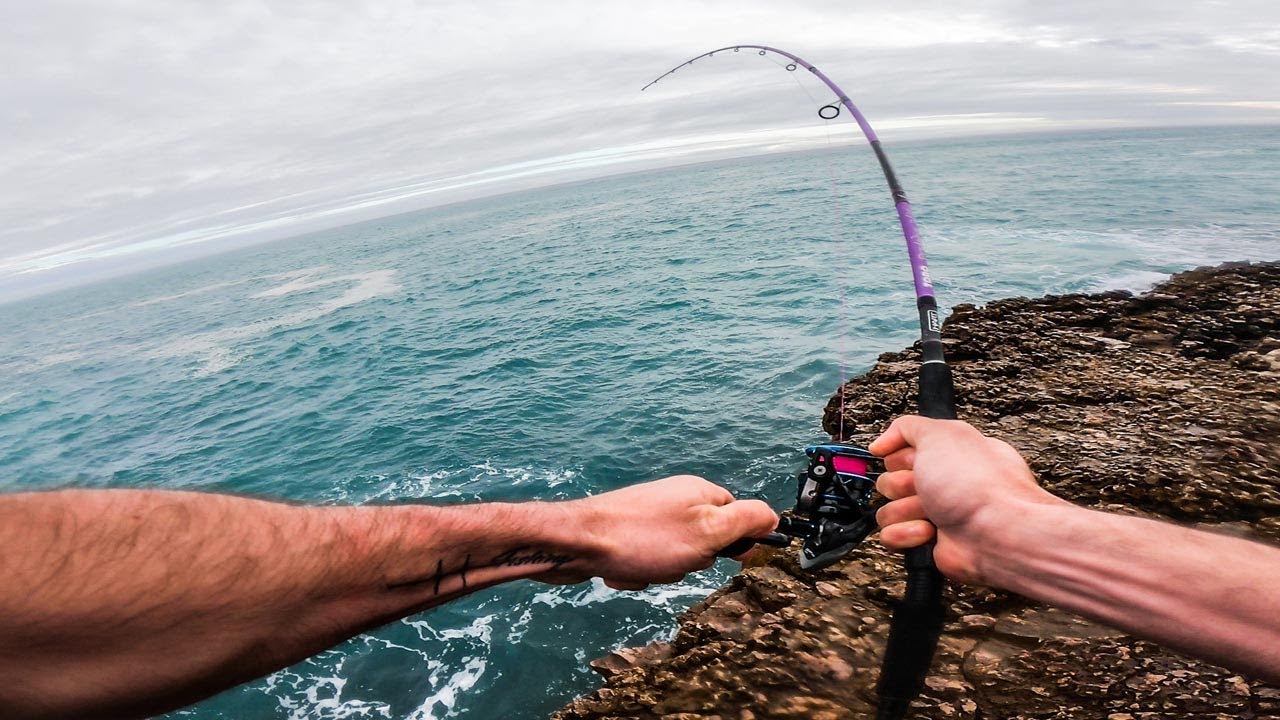 Wolfsbarsch Angeln im wilden Atlantik I Catch & Cook