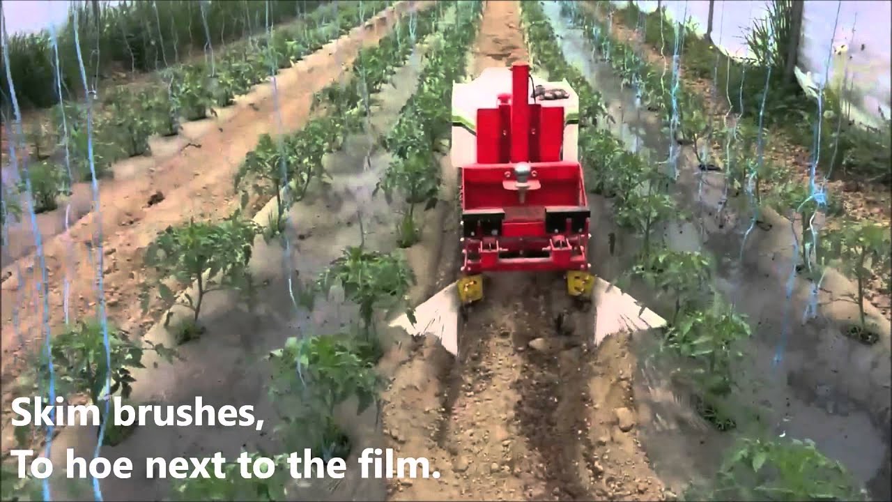 Oz, the hoeing robot