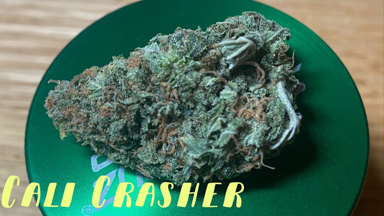 Cali Crasher Strain Review UK.