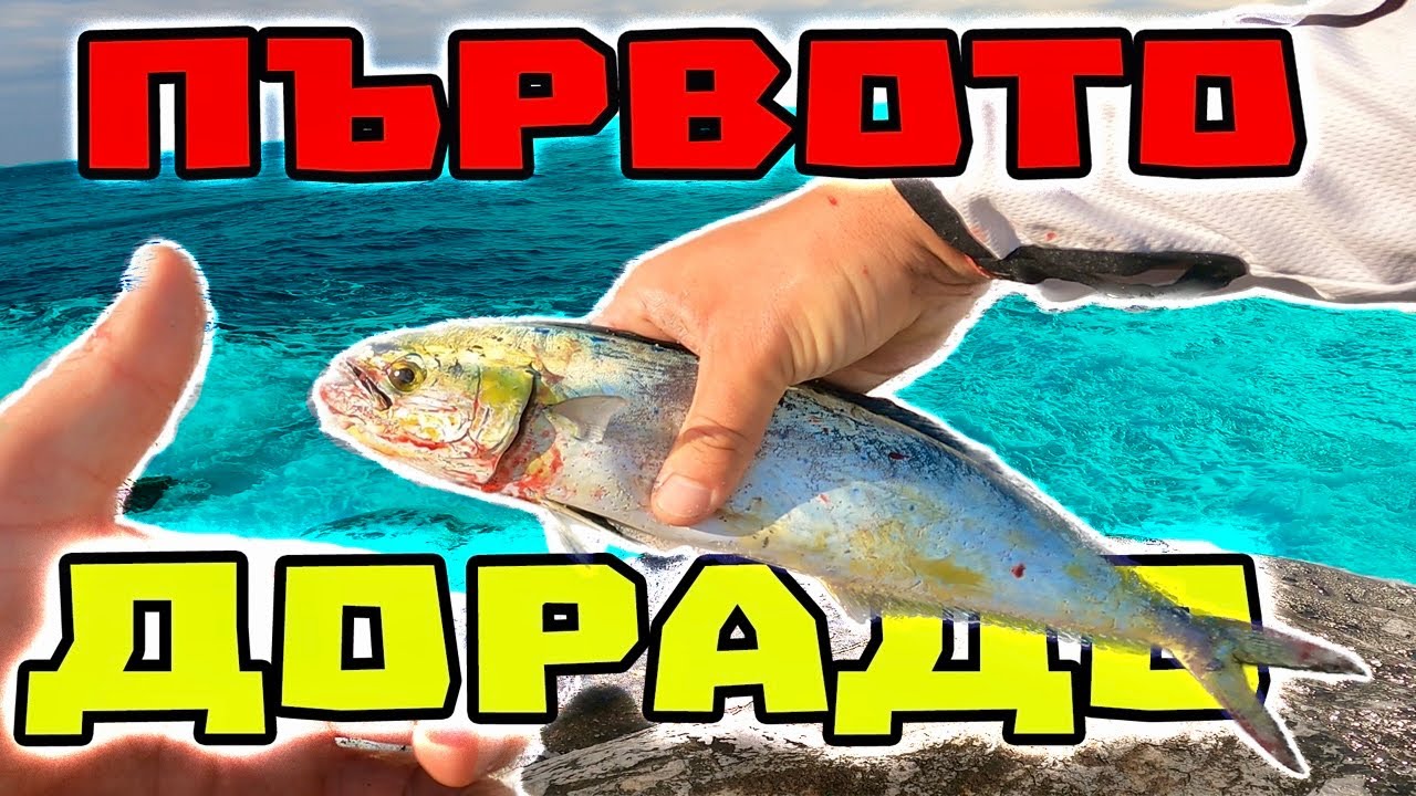 ХВАНАХ ПЪРВОТО СИ ДОРАДО !!!  Приключението на Остров ТАСОС - част 2