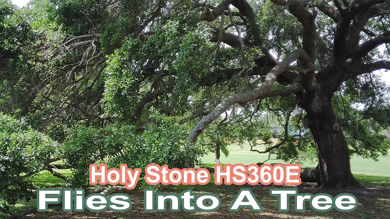 HS360E Drone Flies Into A Tree