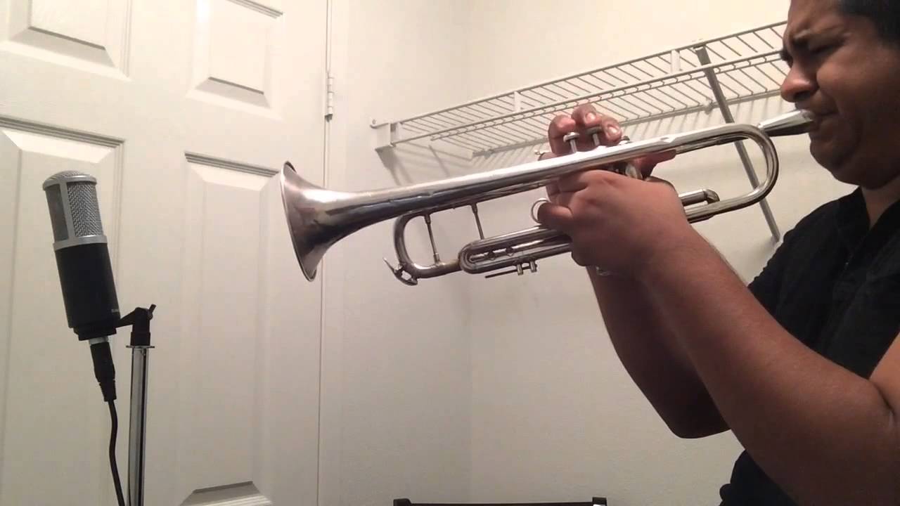 Luis Miguel- que nivel de mujer (trumpet/trompeta cover)