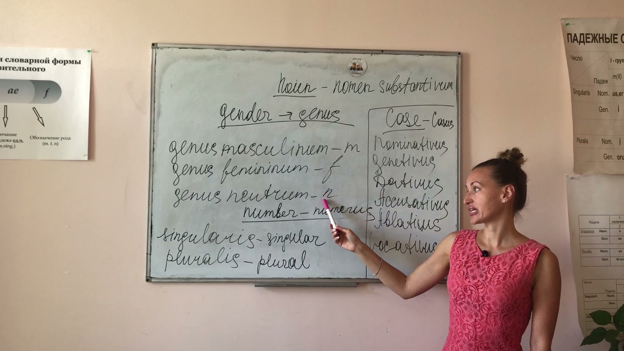noun characteristics
