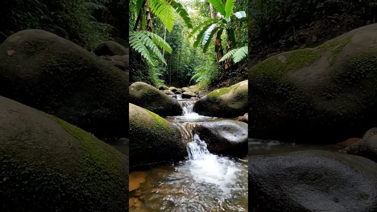 Sleep Better with Tropical River ASMR &mdash; Natural Water Sounds for Deep Rest 🌙