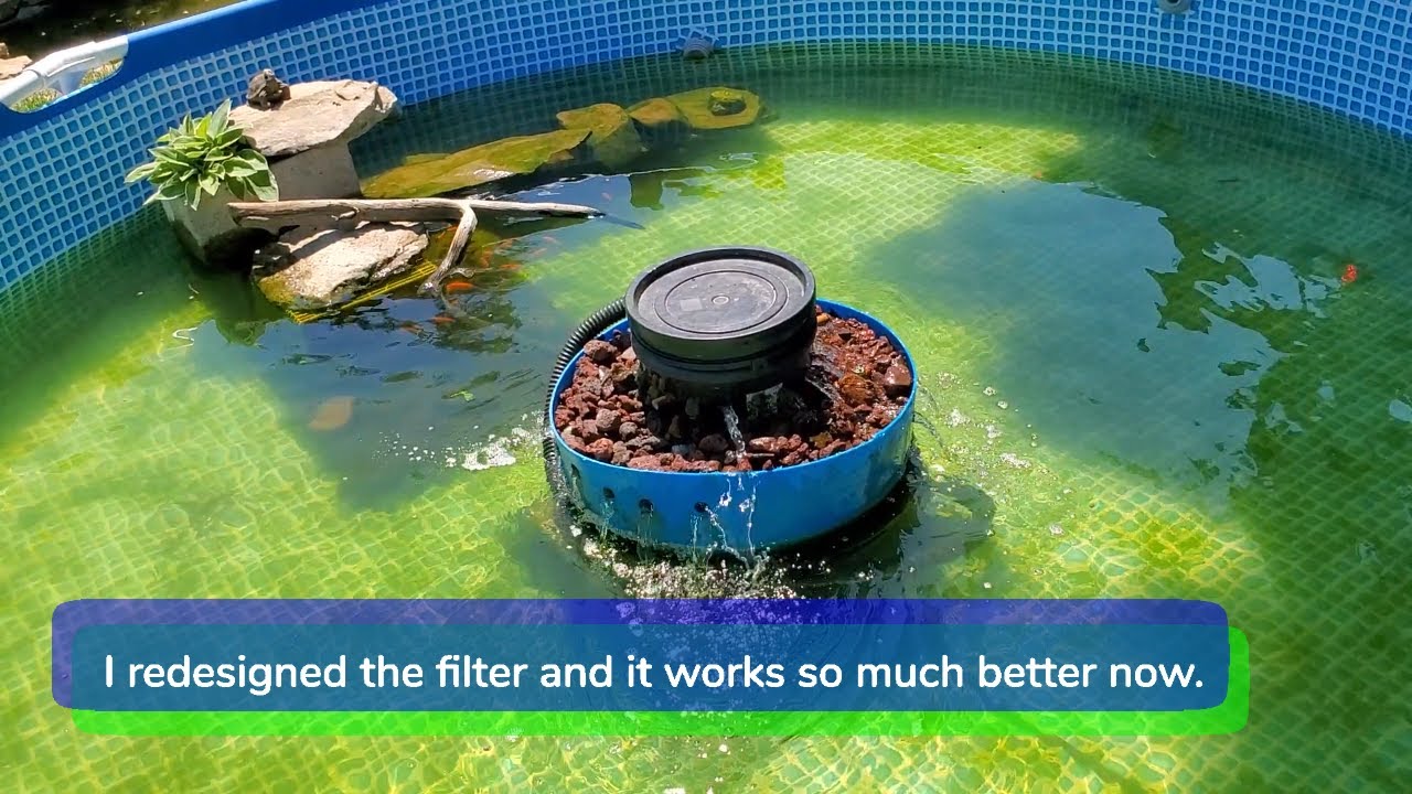 We Turned Our INTEX Pool Into A Backyard Fish Pond with Rainbow Trout and Goldfish