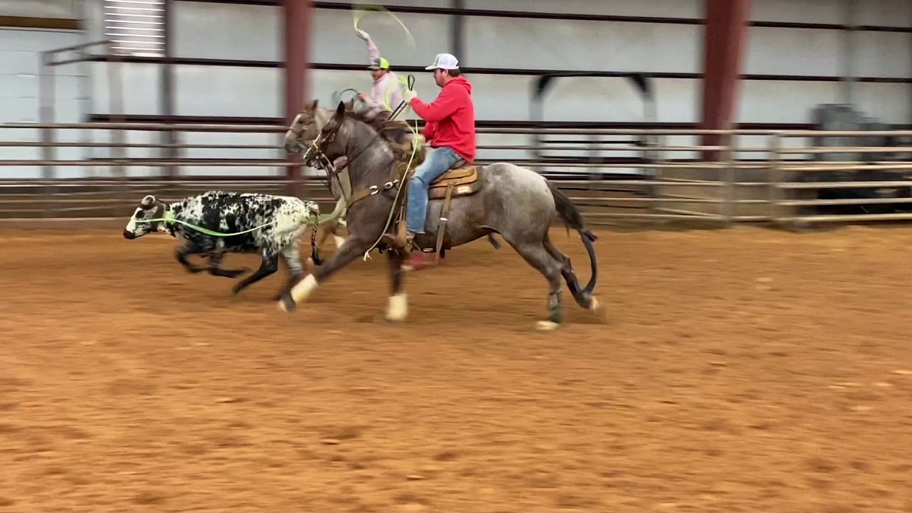 Peptos Shine Time - lot 25 Rancho Rio rope horse sale