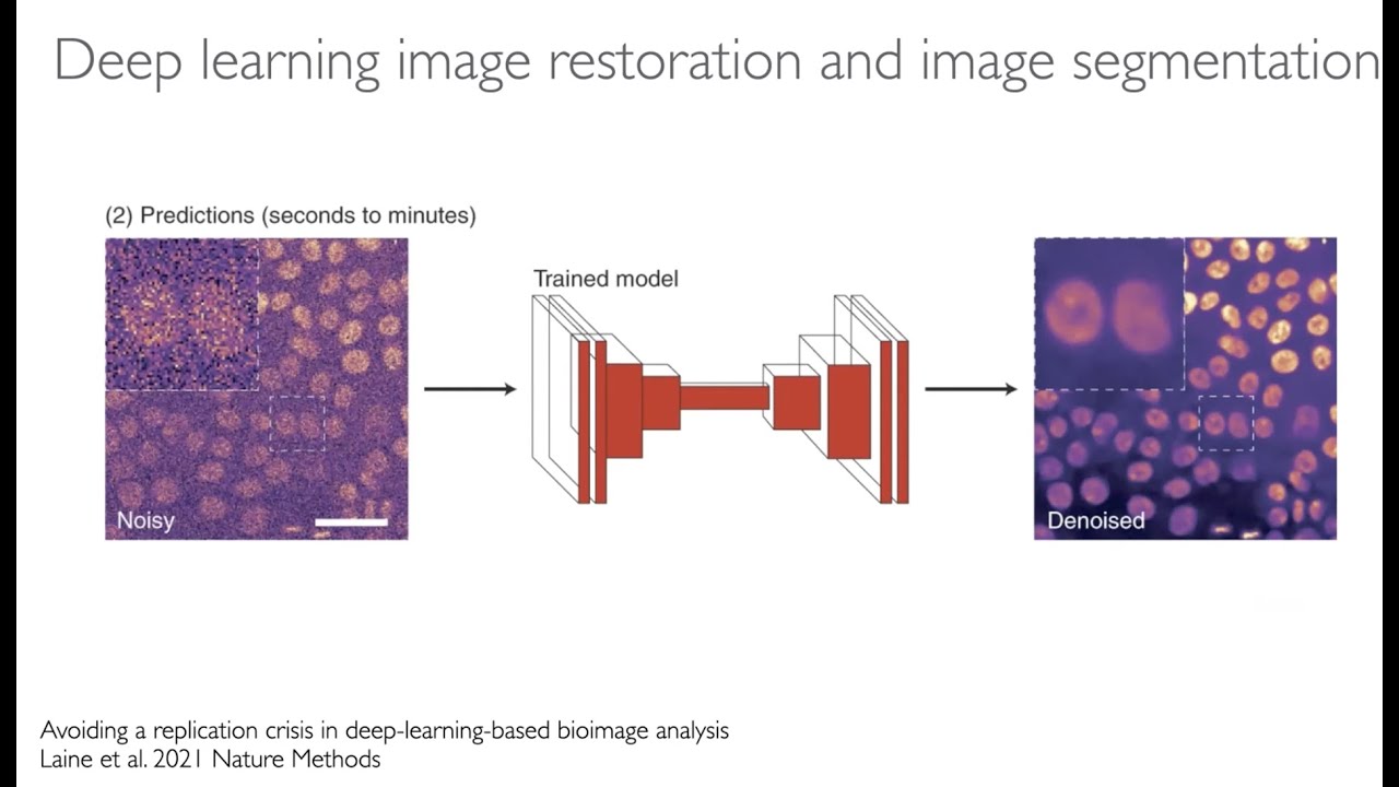 Automating machine learning segmentation and restoration in ImageJ / Fiji