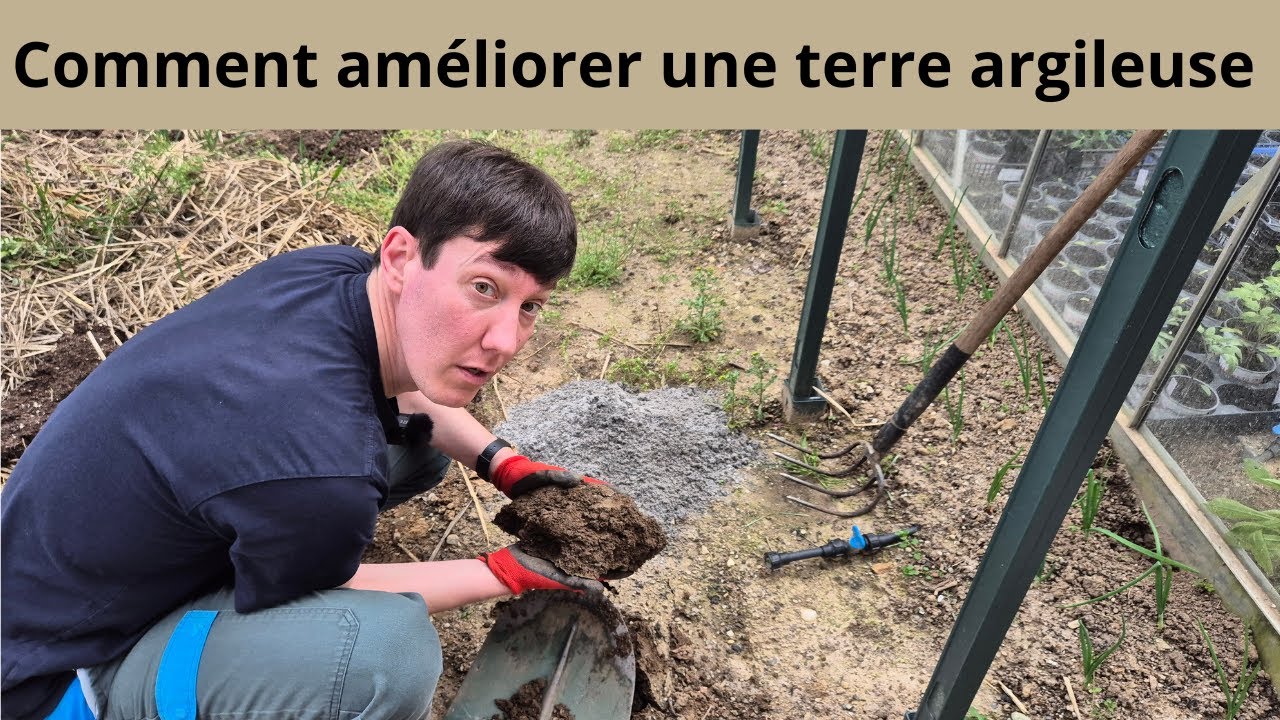 Comment améliorer un sol argileux