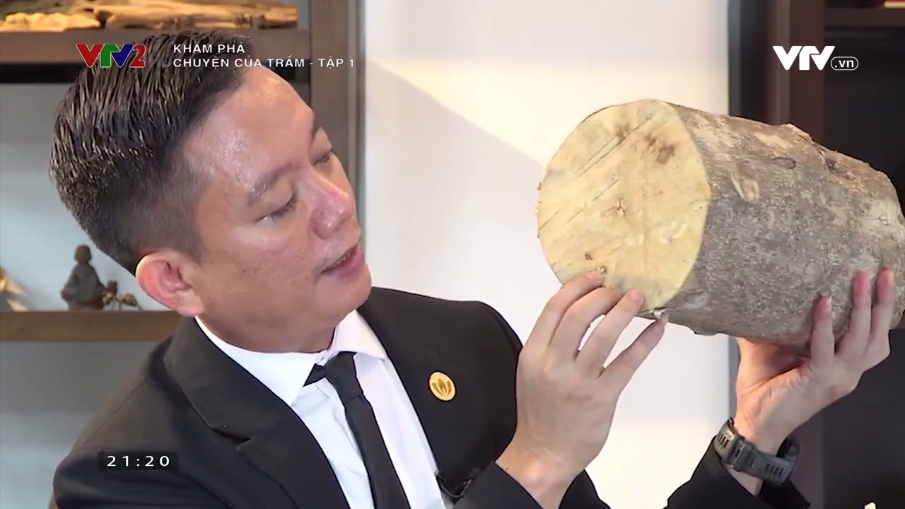 VTV2 - CHUYỆN CỦA TRẦM: TẬP 1 - TRẦM ĐÔNG DƯƠNG
