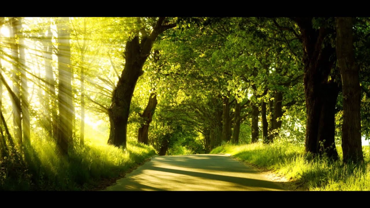 I Will Follow Thee - Matthew Lombart