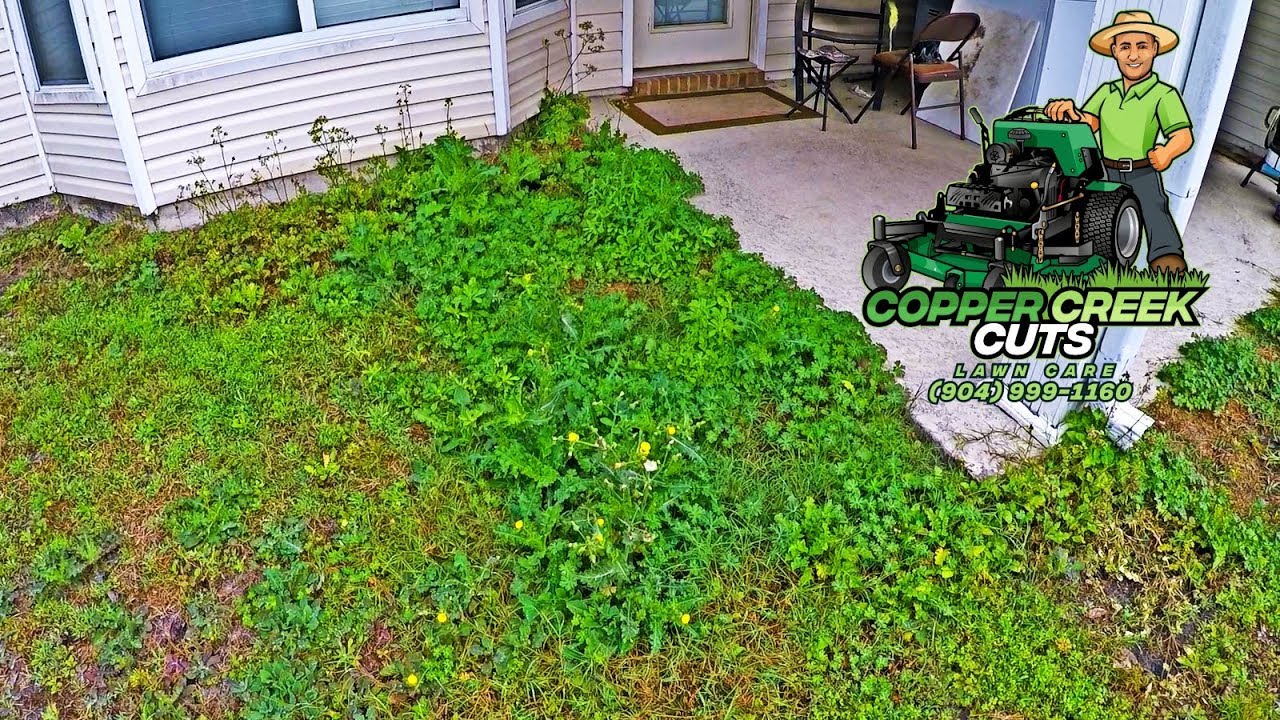 New Property Full of Tall Weeds Gets Front & Back Yard Clean-Up