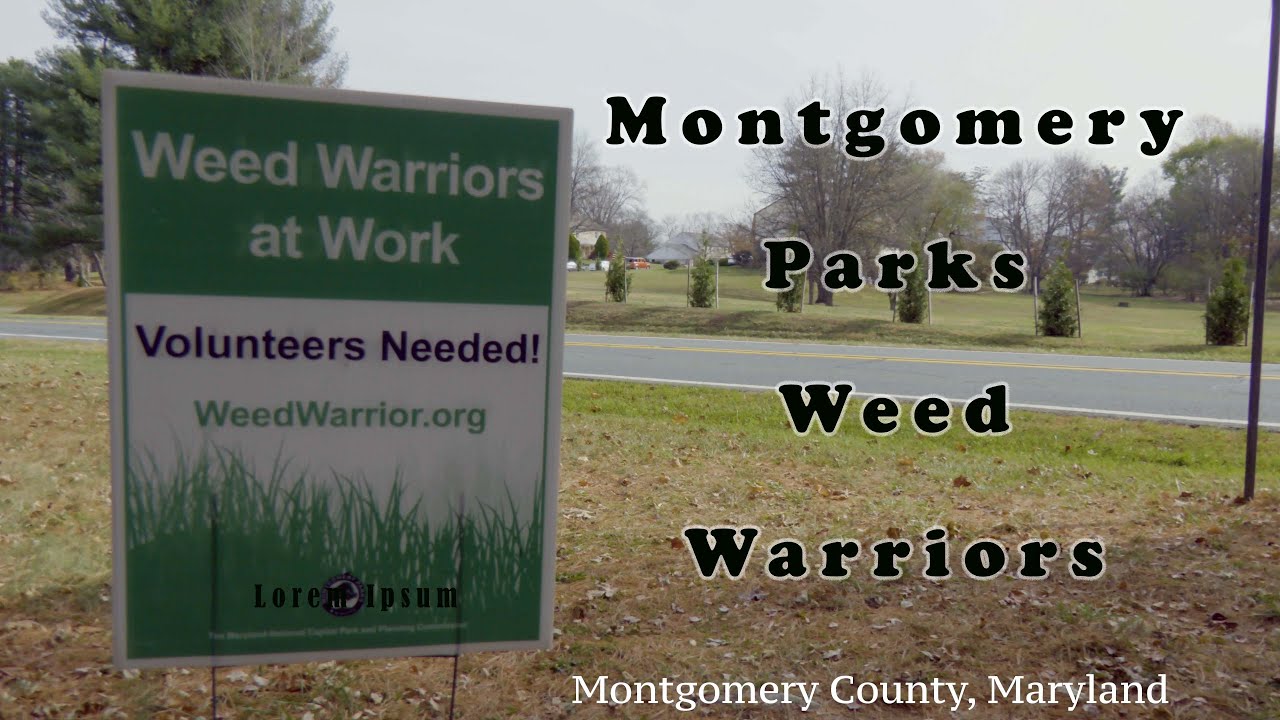 Montgomery Parks Weed Warriors Mini-Documentary