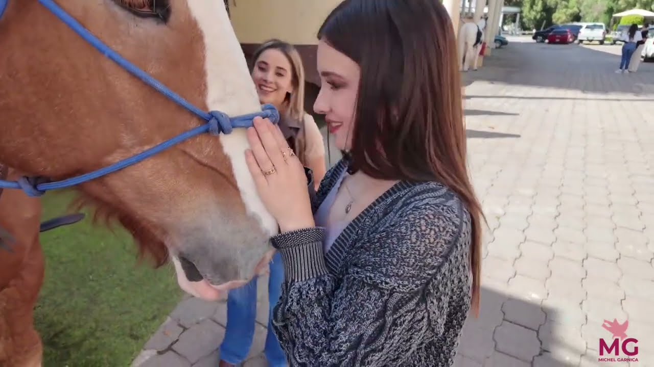 Los animales ven tu aura✨ Kati Zaragoza