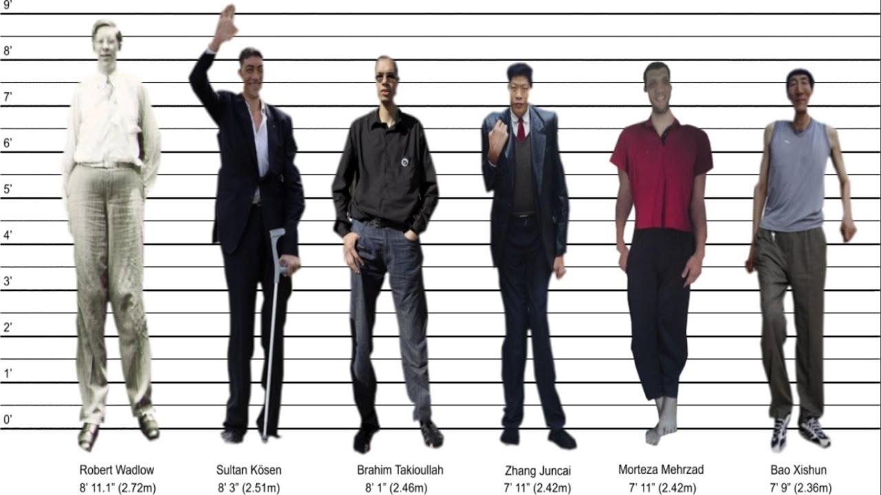 Tallest Man Ever - By Country