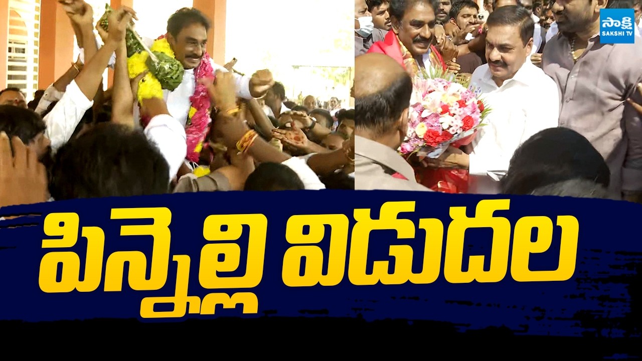 Pinnelli Ramakrishna Reddy Released From Nellore Central Jail |@SakshiTVLIVE