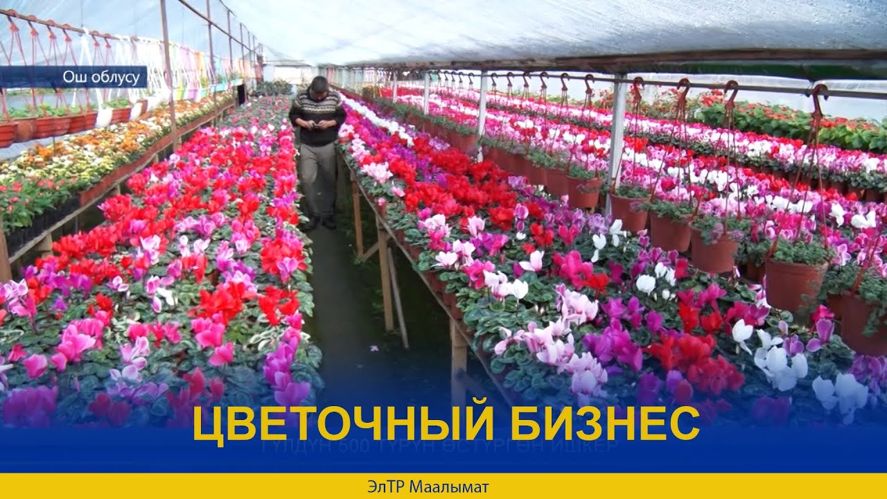 ЦВЕТОЧНЫЙ БИЗНЕС
