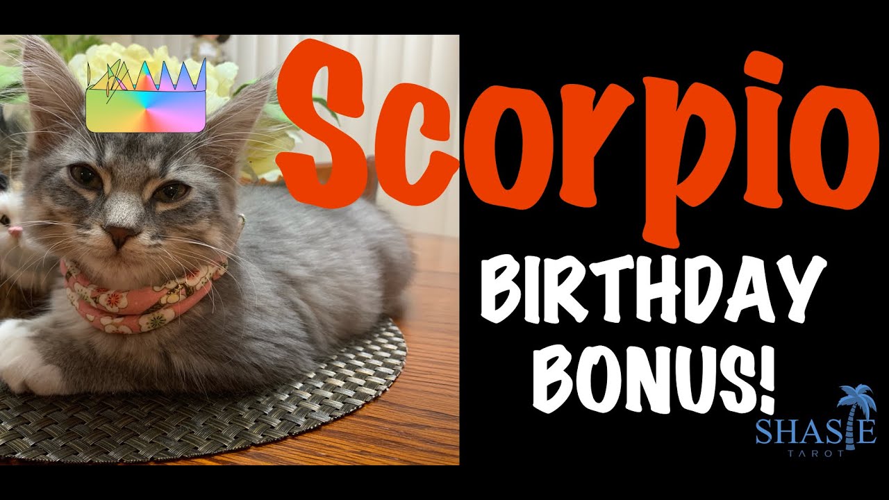Expect PASSION and NEW LOVE #Scorpio IT'S COMING! HAPPY BIRTHDAY 🥳Soulmate horoscope NEW November 20