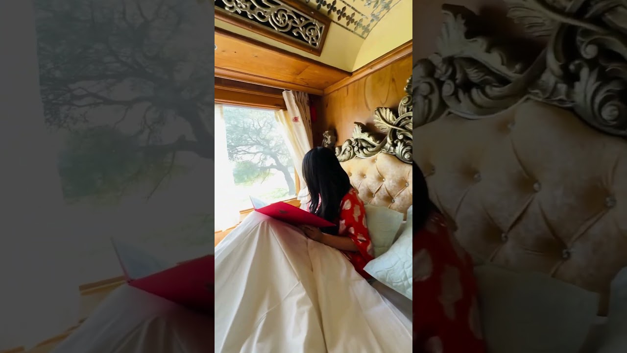 India&rsquo;s iconic train Palace On Wheels - A room tour!Want to see a full train tour?🚂🇮🇳