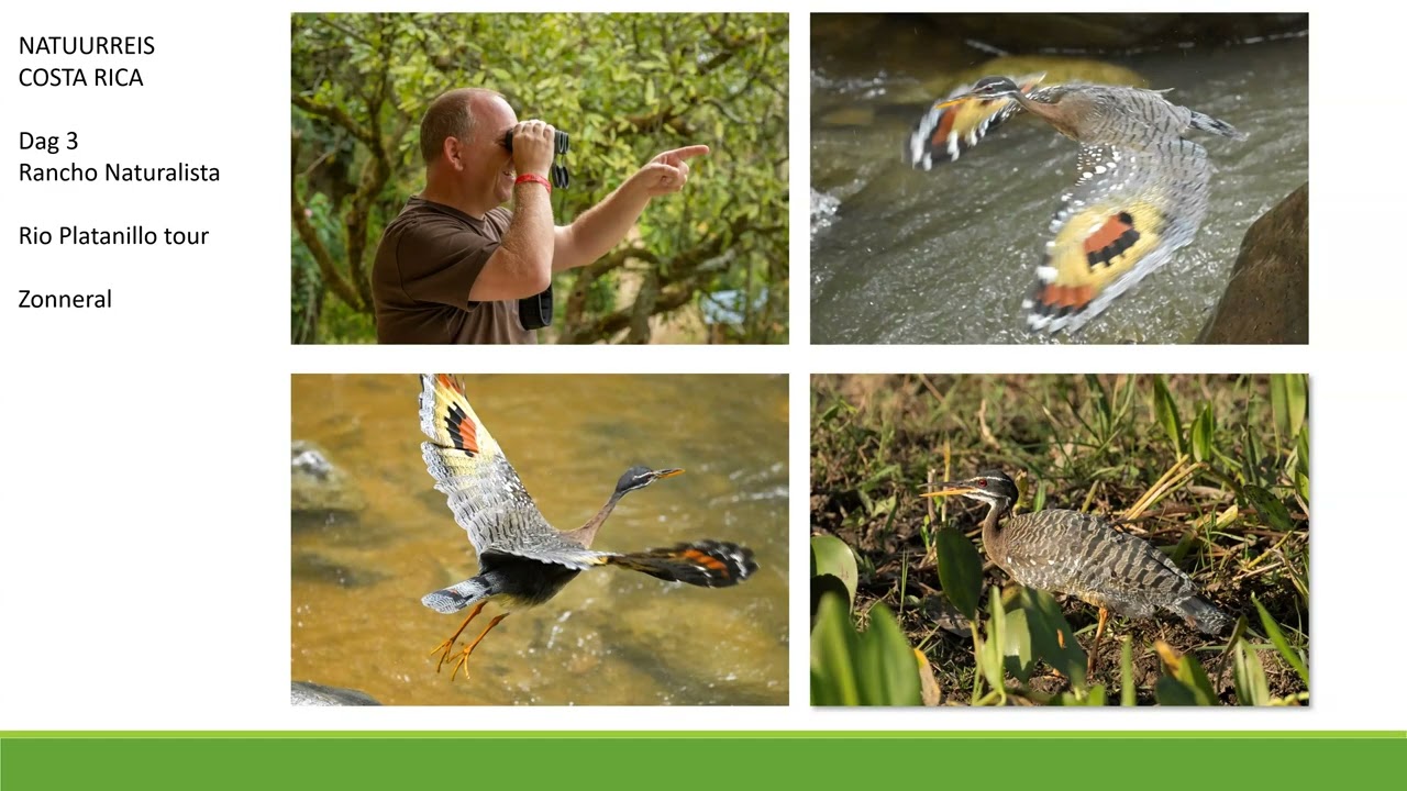 Presentatie Natuurreis Costa Rica 2026/2027