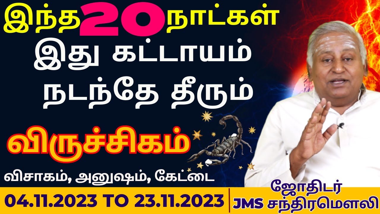 விருச்சிகம் | இந்த 20 நாட்கள் | viruchigam | viruchigarasi | Guru Jothidam | Tamil Astrology