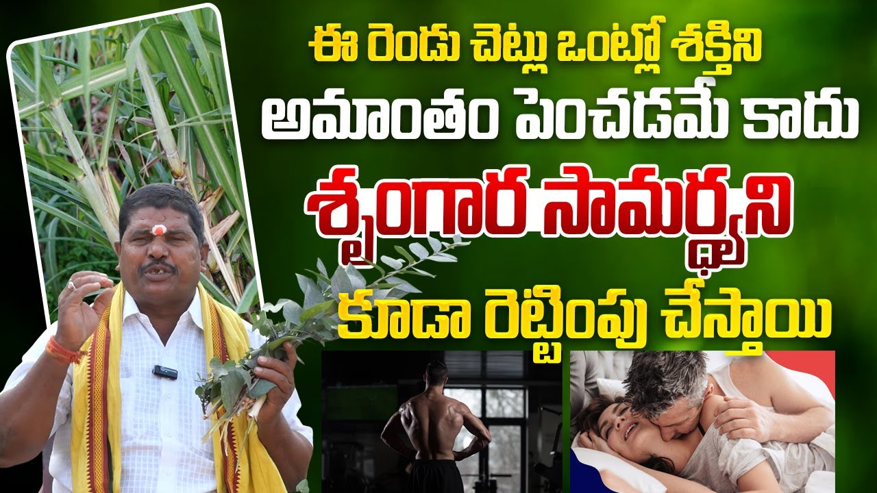 మీ సామర్ధ్యాన్ని అమాంతం పెంచే మొక్కలు ఇవే | Natural Remedies for Men’s Stamina – Boost Energy