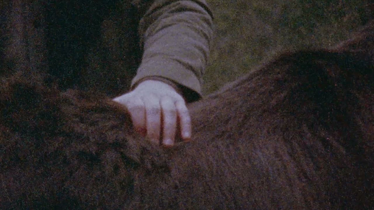 Offici&euml;le teaser 'Witte Vlinders'  - premi&egrave;re op 5/05/21