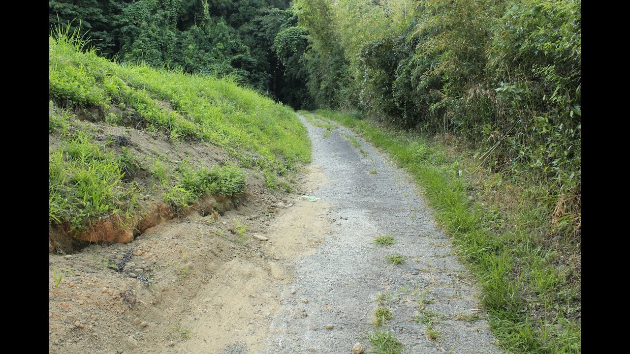 【険道♦/淡路島の本気】兵庫県道157号 佐野仁井岩屋線 part 1