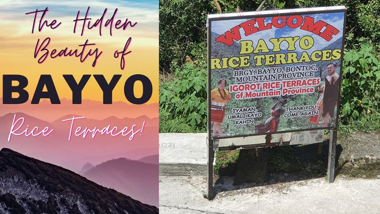 Bayyo Rice Terraces | Bontoc, Mountain Province