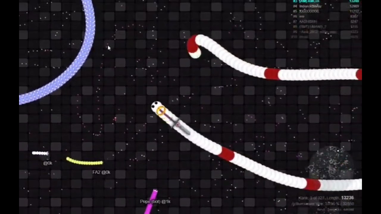 1st play of the day Slither io Amcul