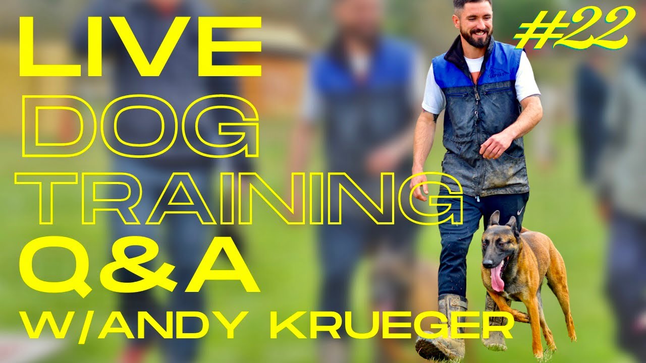 DOG TRAINING Q&A! LIVE w/ Andy Krueger!