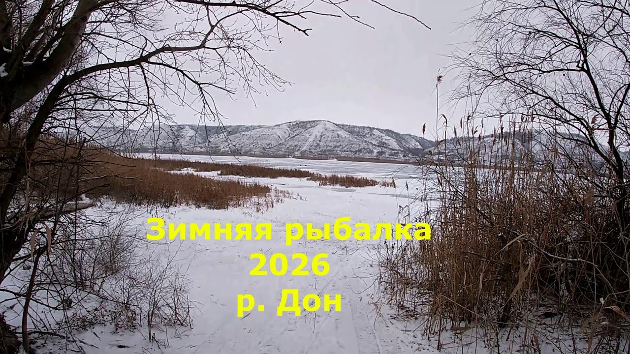 Зимняя рыбалка 2026! Река Дон! Ловля хищника!