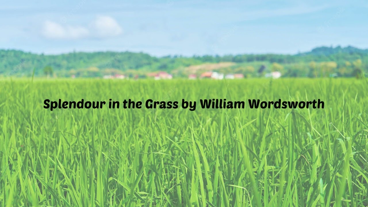 Splendour in the Grass by William Wordsworth