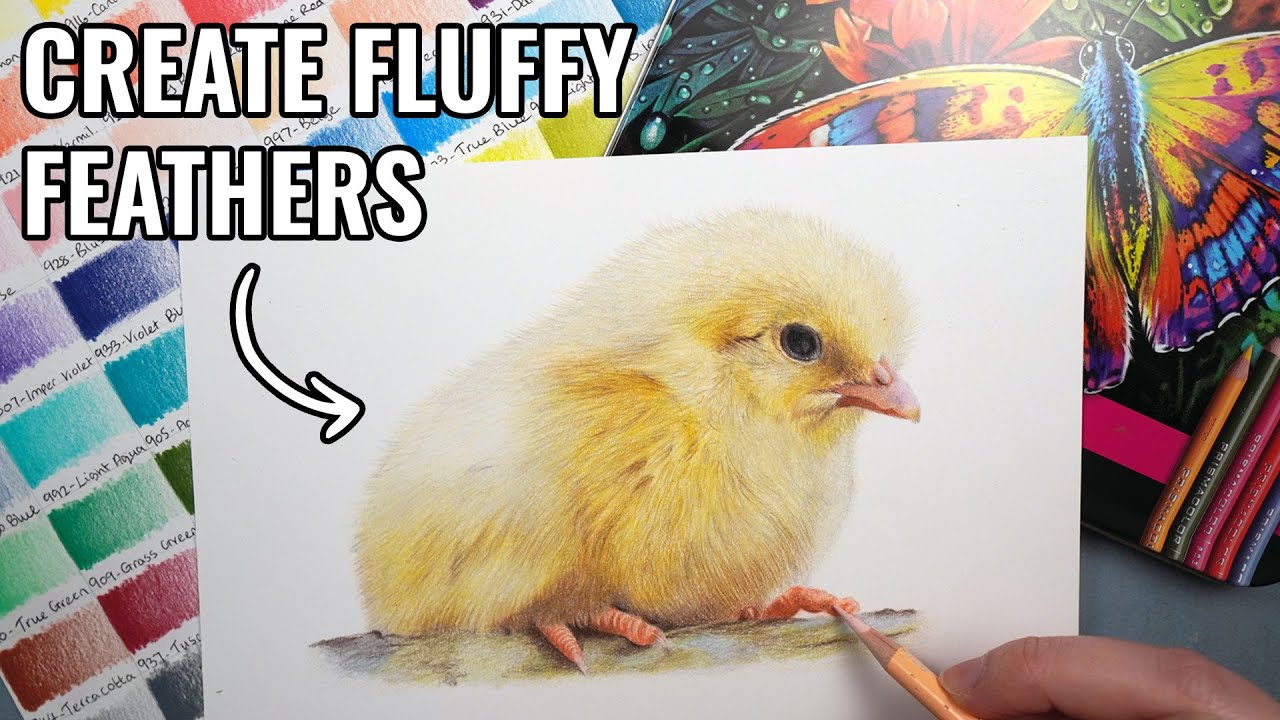 Easter Chick - How To Draw Fluffy Feathers With Prismacolor