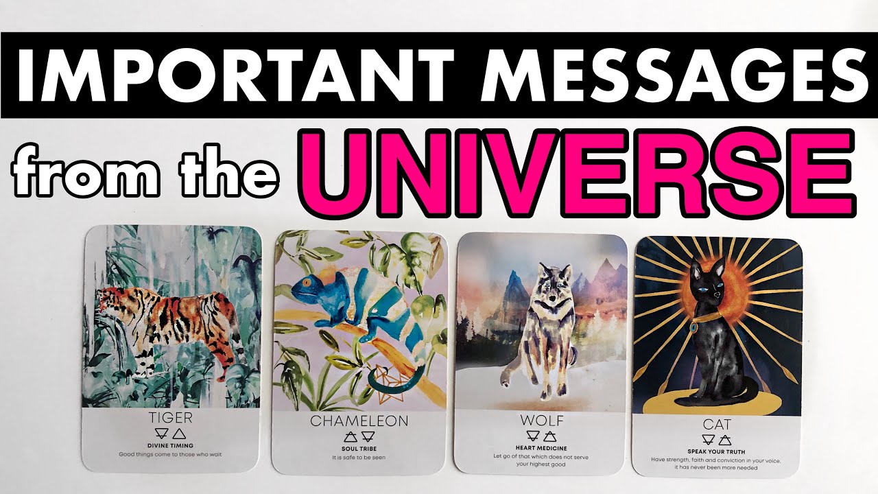 IMPORTANT MESSAGES from the UNIVERSE♥️✨🔮Pick  a card Timeless psychic tarot reading.