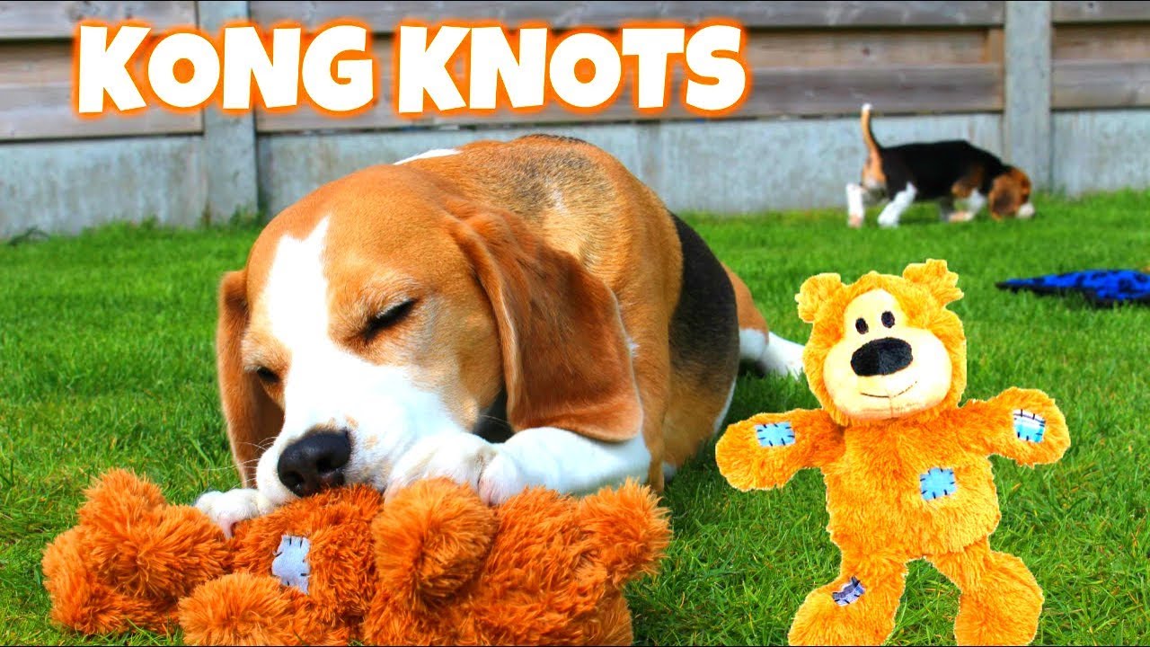 Funny Dog Toy Critics 