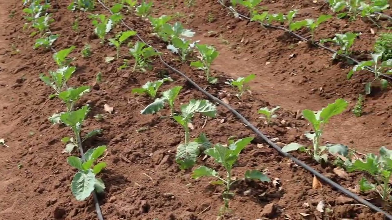Borehole at Ssonde Farm