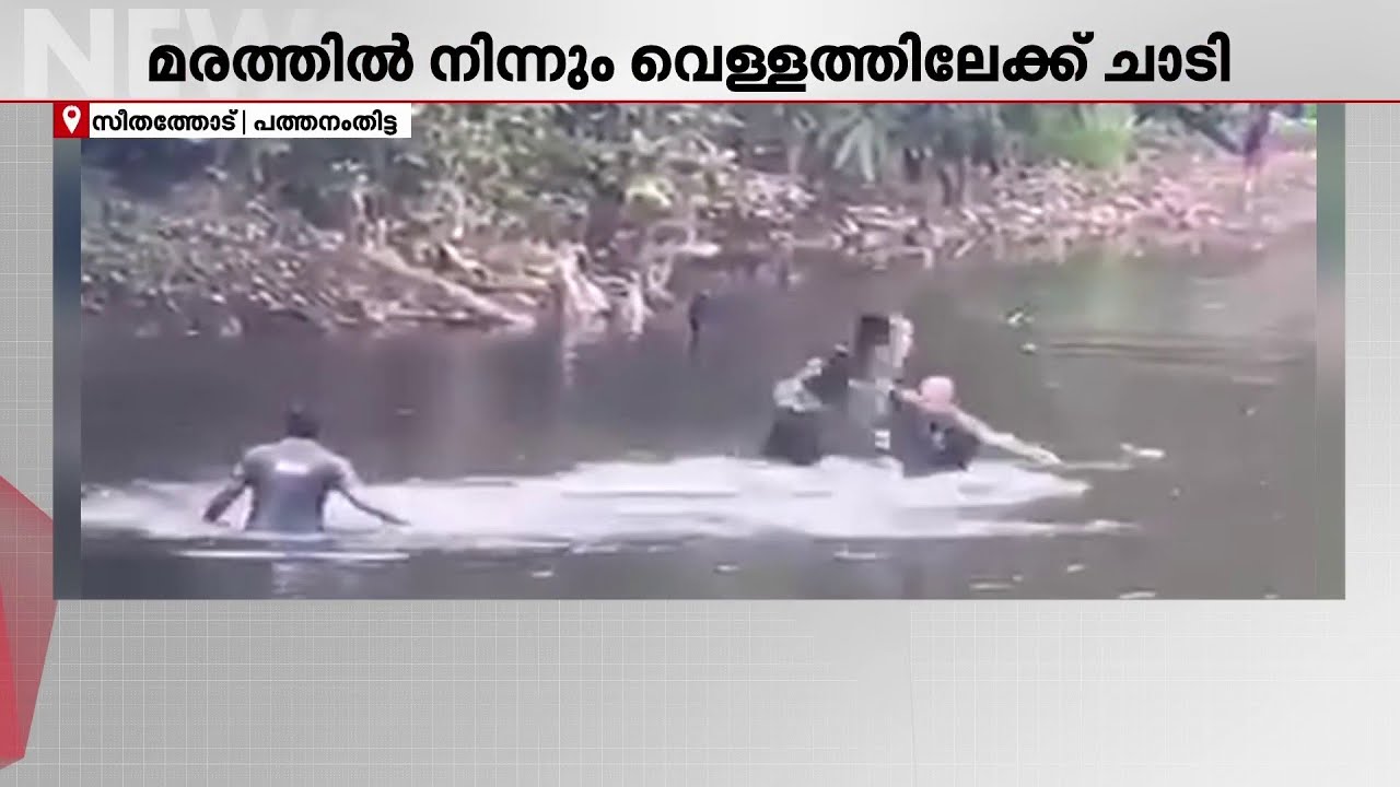എട്ടടി നീളമുള്ള രാജവെമ്പാല മരത്തിൽ നിന്നും വെള്ളത്തിലേക്ക്!!! സാഹസികമായി പിടികൂടി RRT സംഘം | Snake
