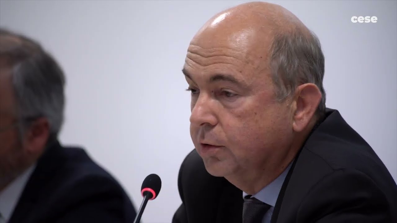 Hervé RABEC (SEST Ile de France) - Travail, santé-environnement - cese