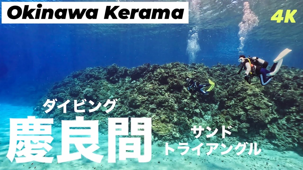 沖縄・慶良間ダイビングVlog｜サンドトライアングルで出会う光と珊瑚、ウミガメ　Okinawa Kerama Diving Vlog