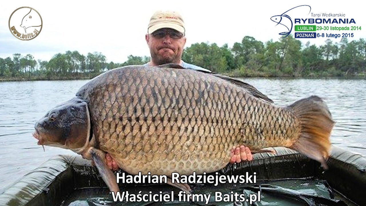 Taska - Hadrian Radziejewski