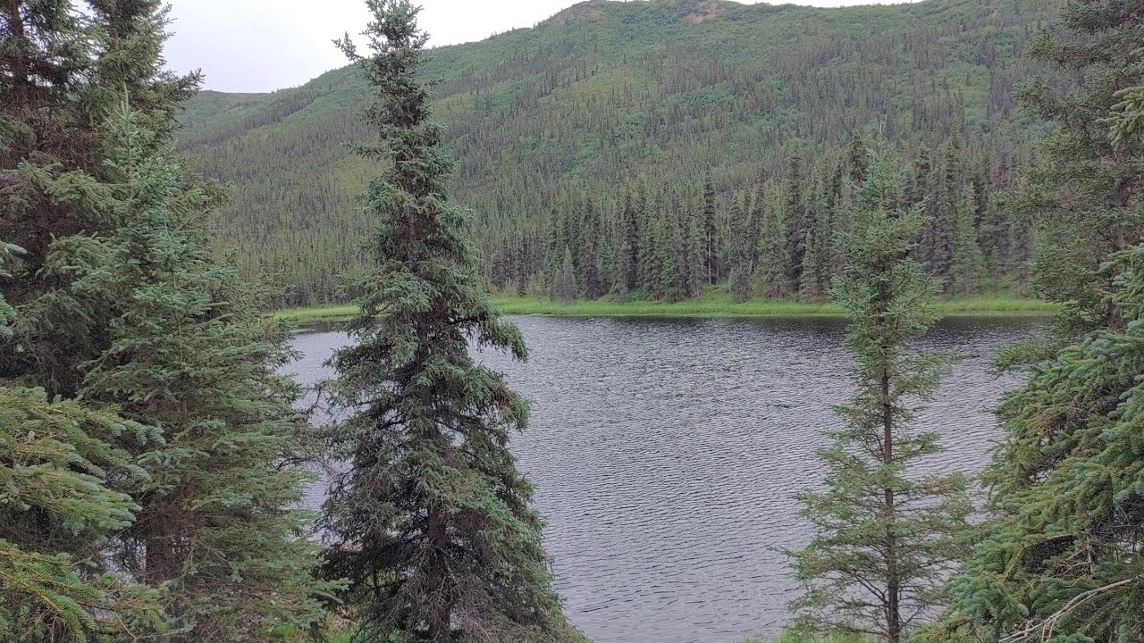Triple Lakes Hike (Denali National Park, Alaska) - 07.16.22