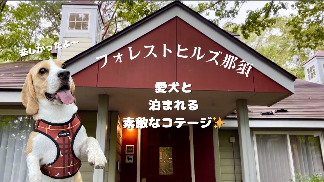 【愛犬と泊まれる】コテージ フォレストヒルズ那須を満喫した旅行🌲《前編》
