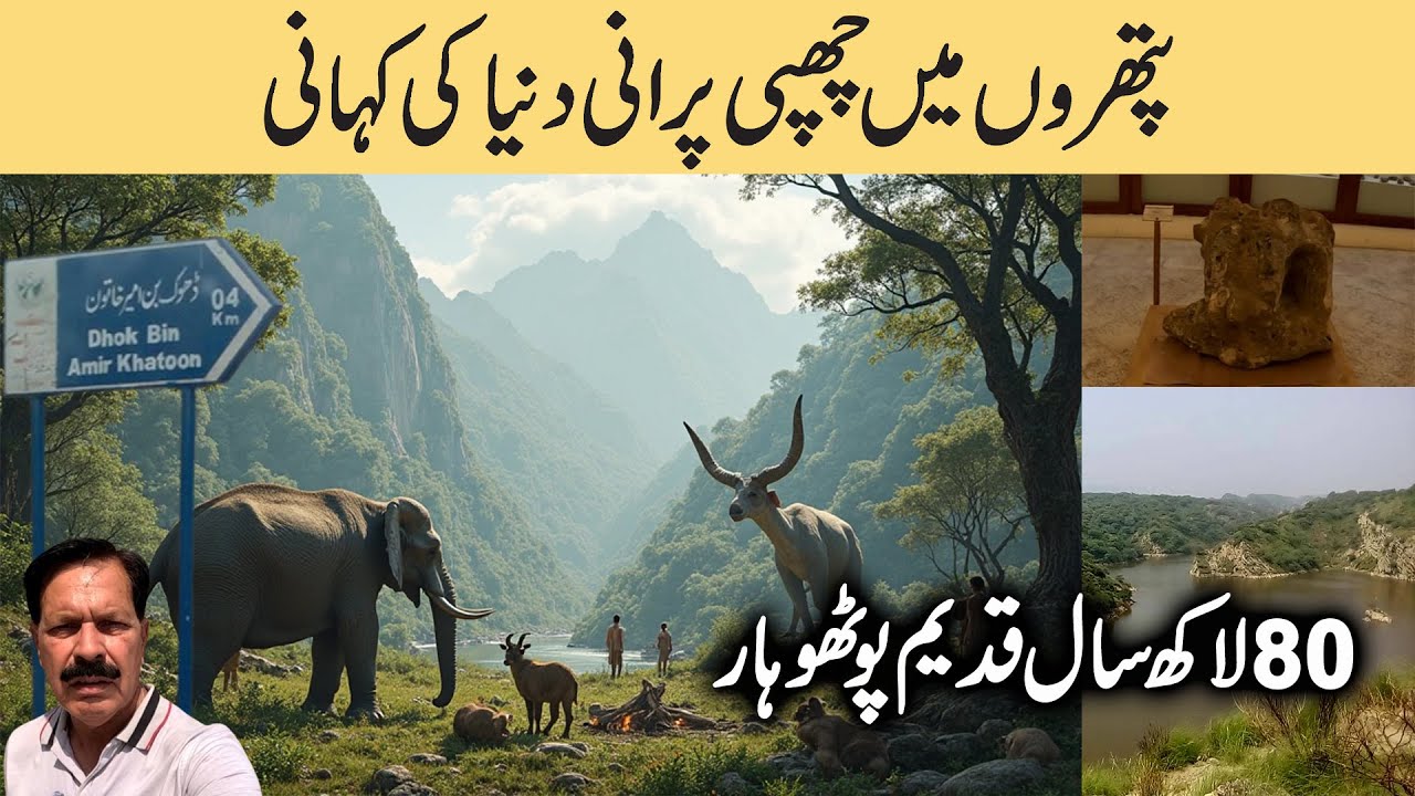 Story of the Old World Hidden in Stones I Kallar Kahar Museum I Home to Ancient Fossils & Artefacts