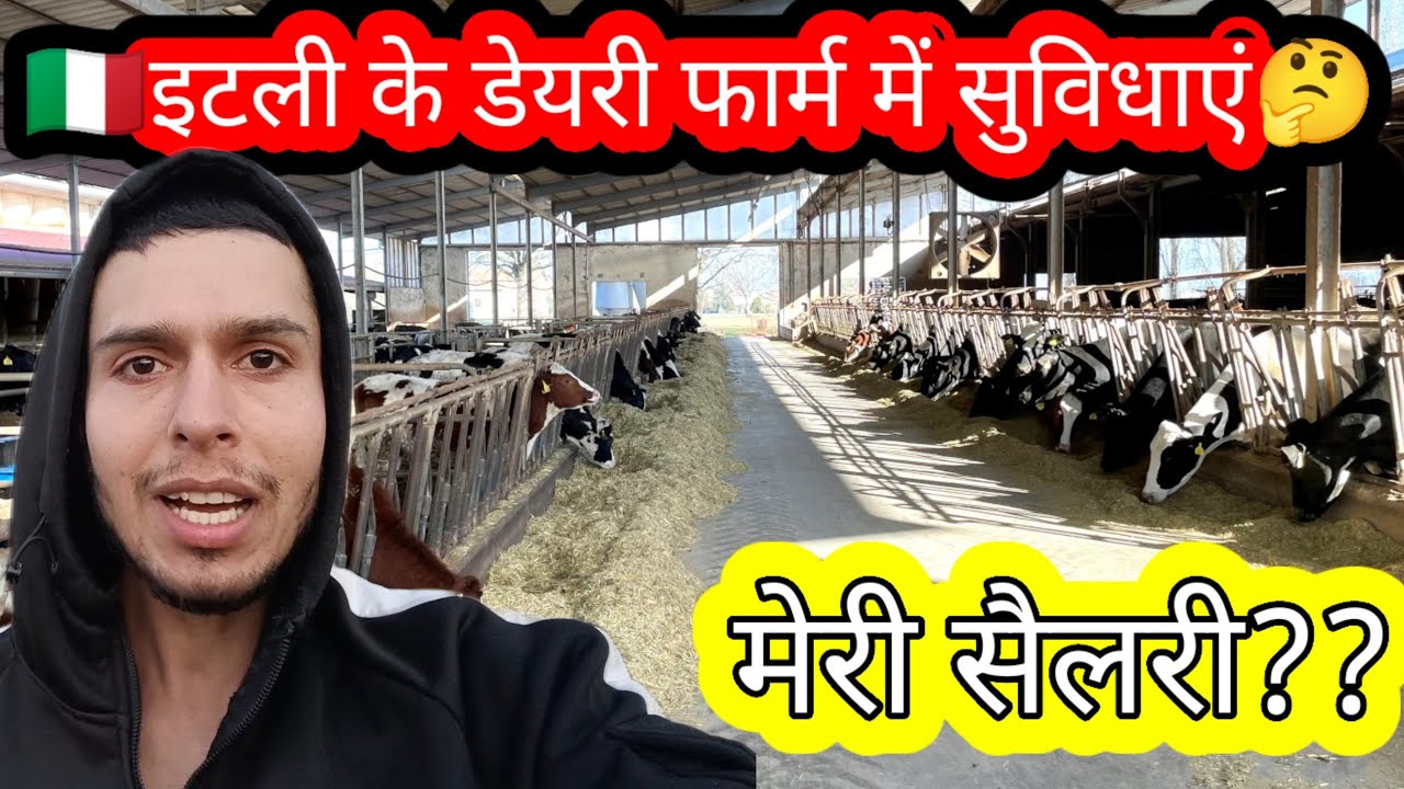 🧐इटली के डेयरी फार्म में रहना-खाना🆓🤔 ￼ | Italy Indian Vlogger