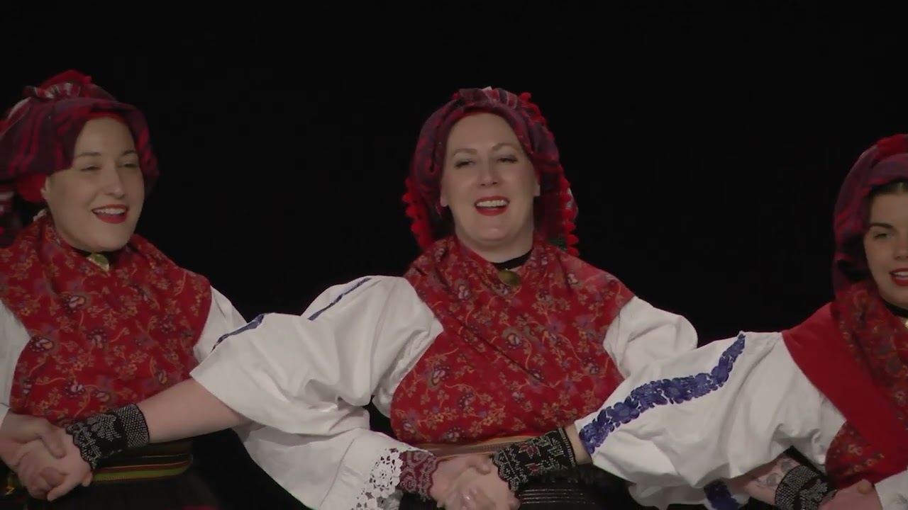 FA „ŠILJAKOVINA“, (koreografija) - „URODILA ŠUMA ŽIROVICA“, Pjesme i plesovi Brodskog posavlja