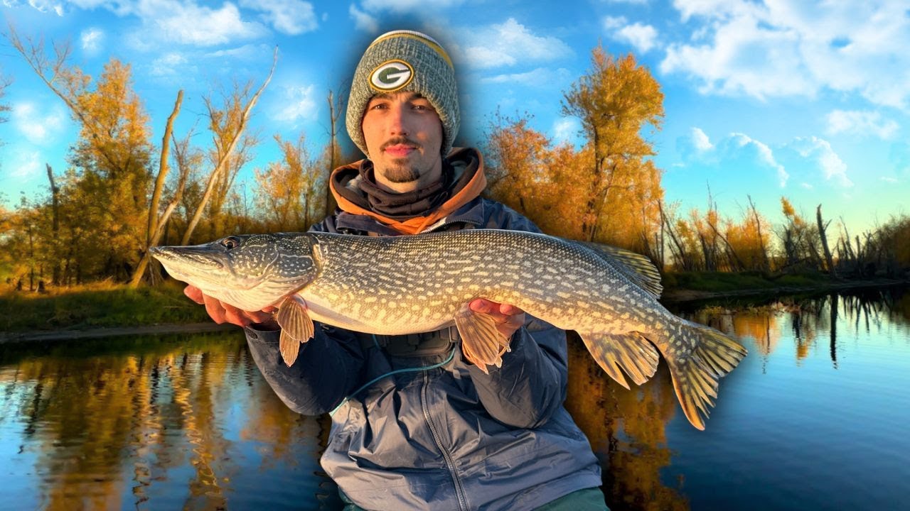 Фестиваль ловли рыбы на реке Миссисипи!! Ловим крупную рыбу за крупной рыбой!!