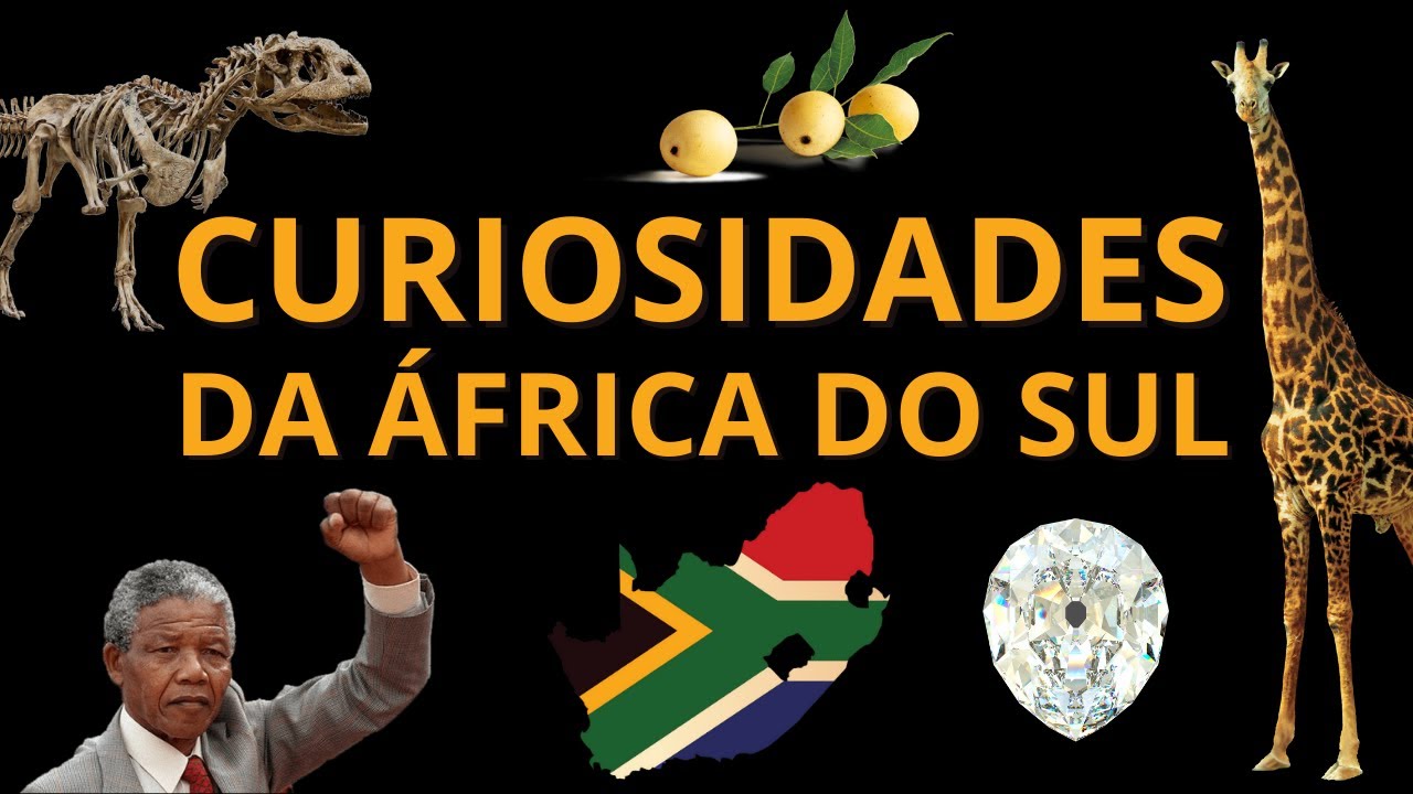 Curiosidades da África do Sul que você precisa conhecer
